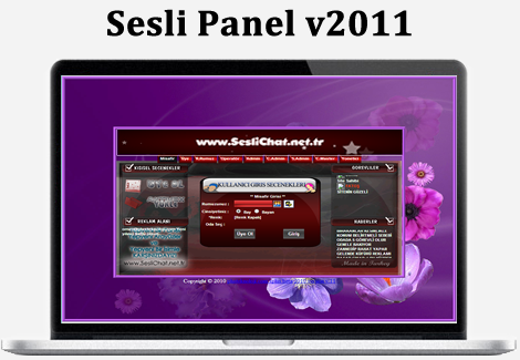 Sesli Panel v2011